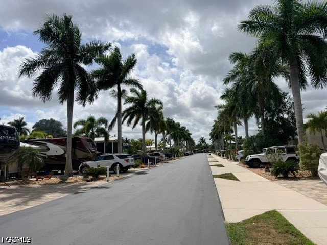 Picture 24