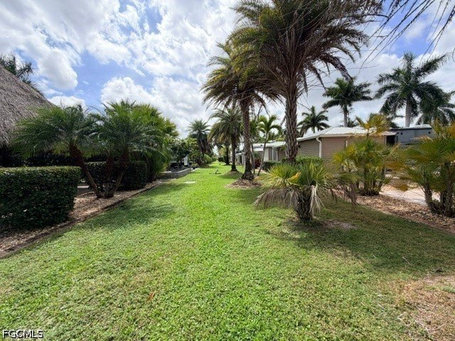 Picture 11