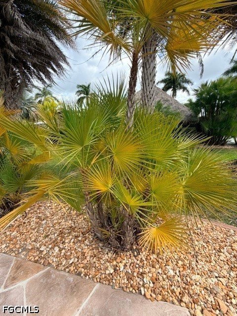 Picture 8
