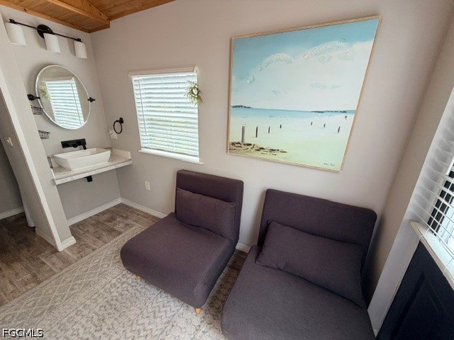 Picture 17