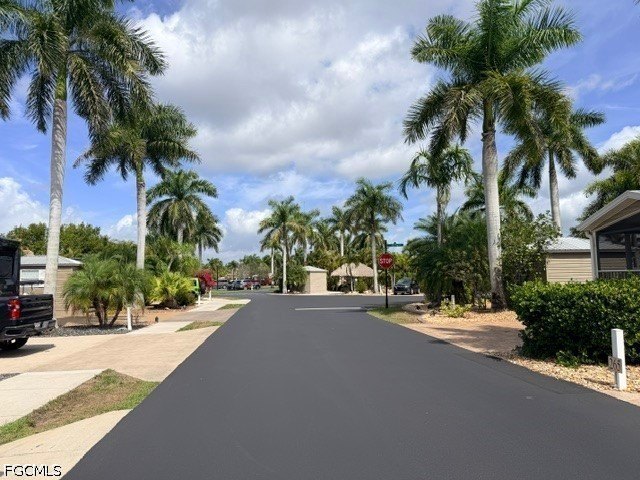 Picture 25