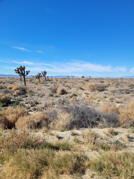 Flat Desert Land in Lancaster