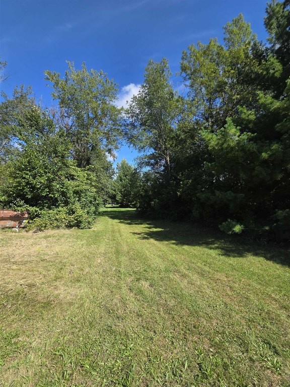 Picture 15