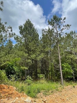 LAND - Broken Bow, OK