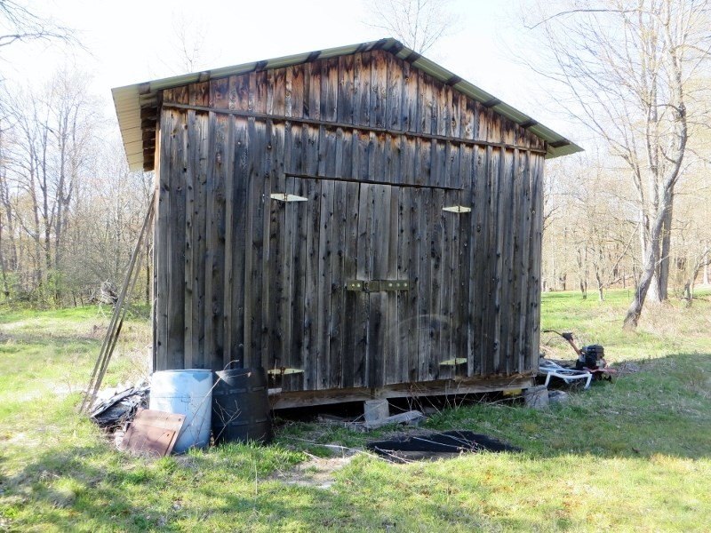 Picture 3
