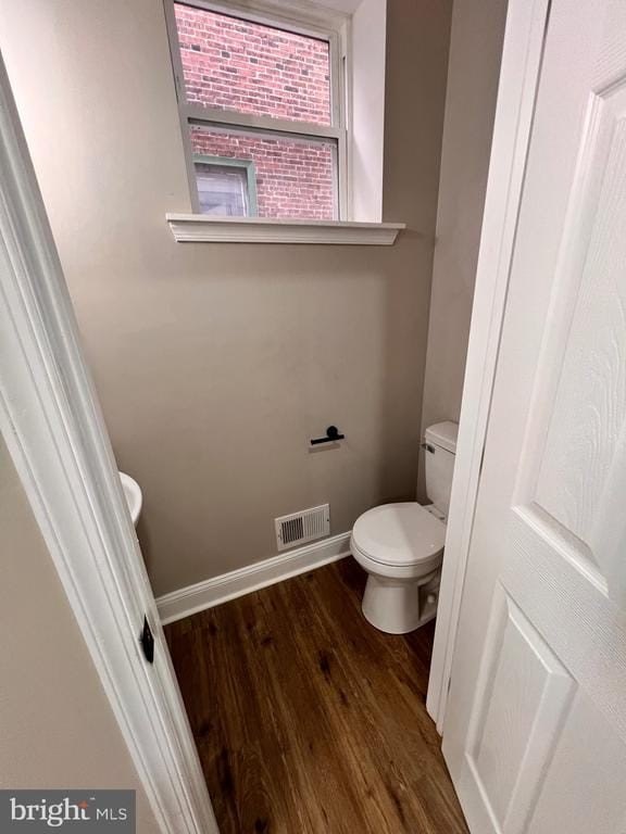 Picture 30