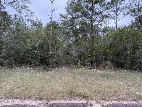 Land, Chipley, FL