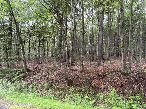 Clifton Township Land For Sale
