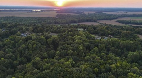 Land, Drummonds, TN