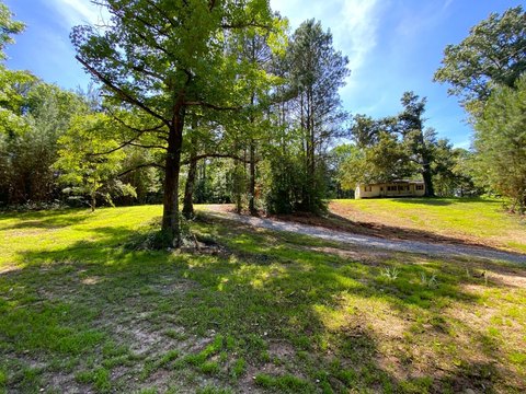 LAND - Cottondale, AL
