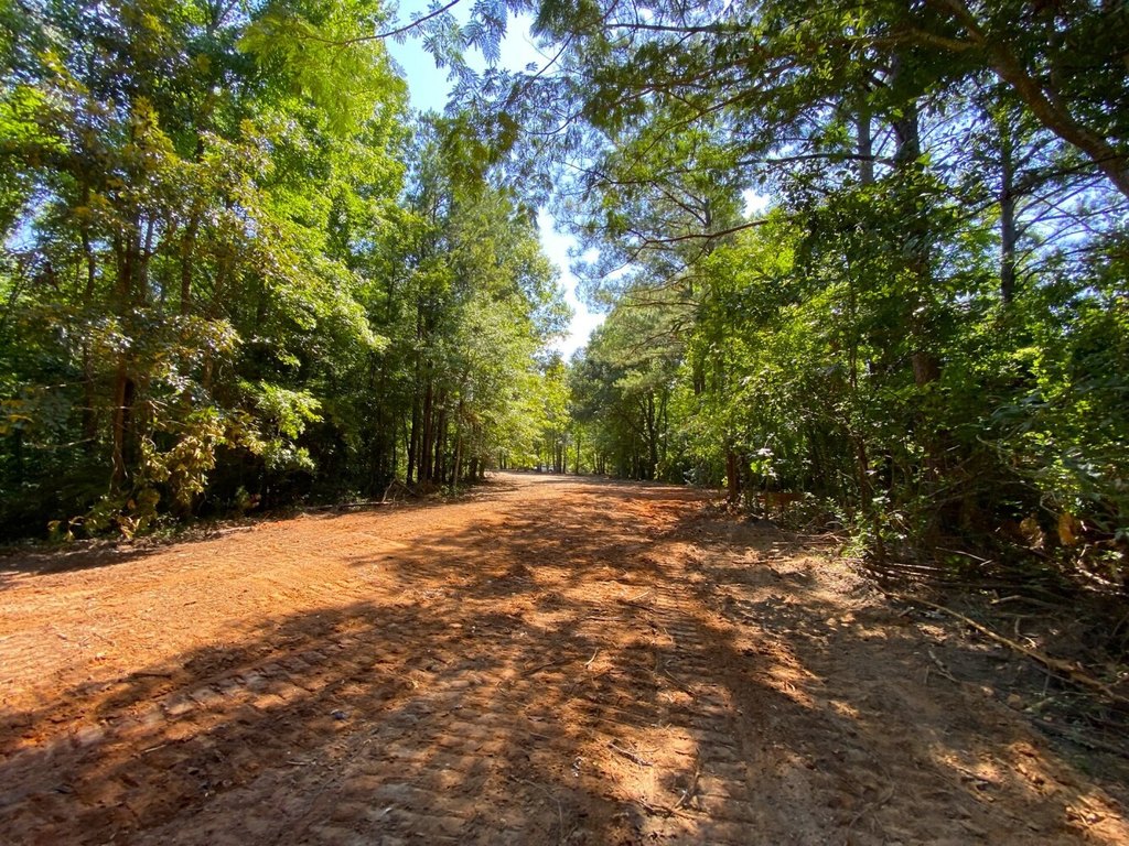 Picture 28