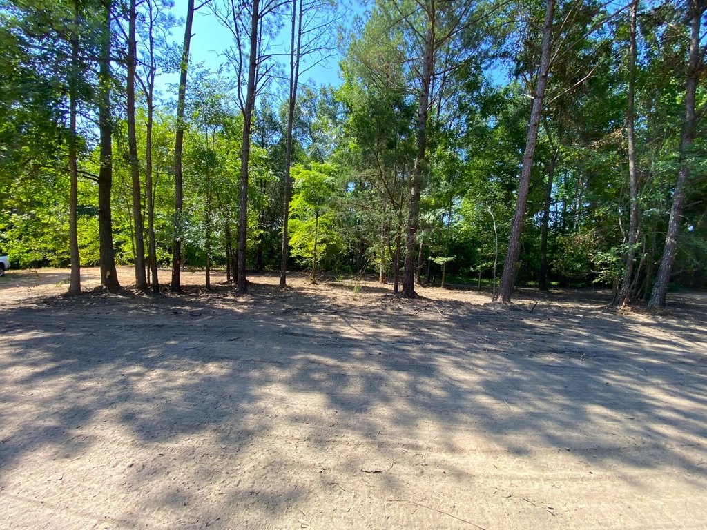 Picture 29
