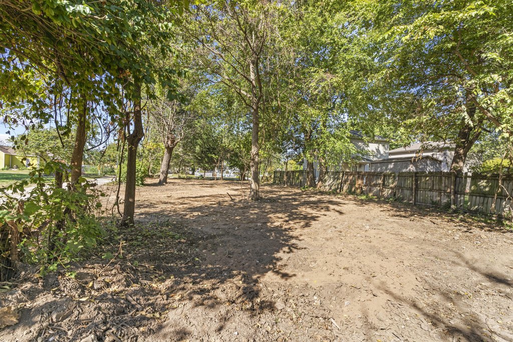 Picture 5