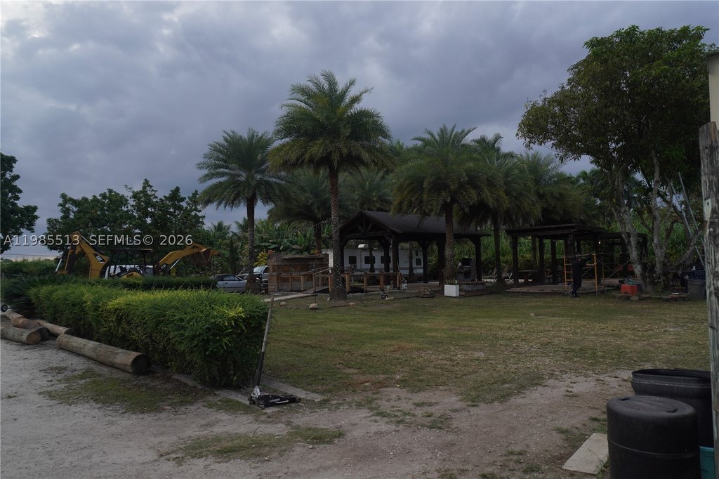 Picture 7