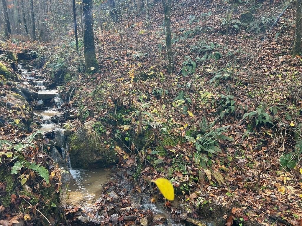 Creekfront Wooded Land in Smokies