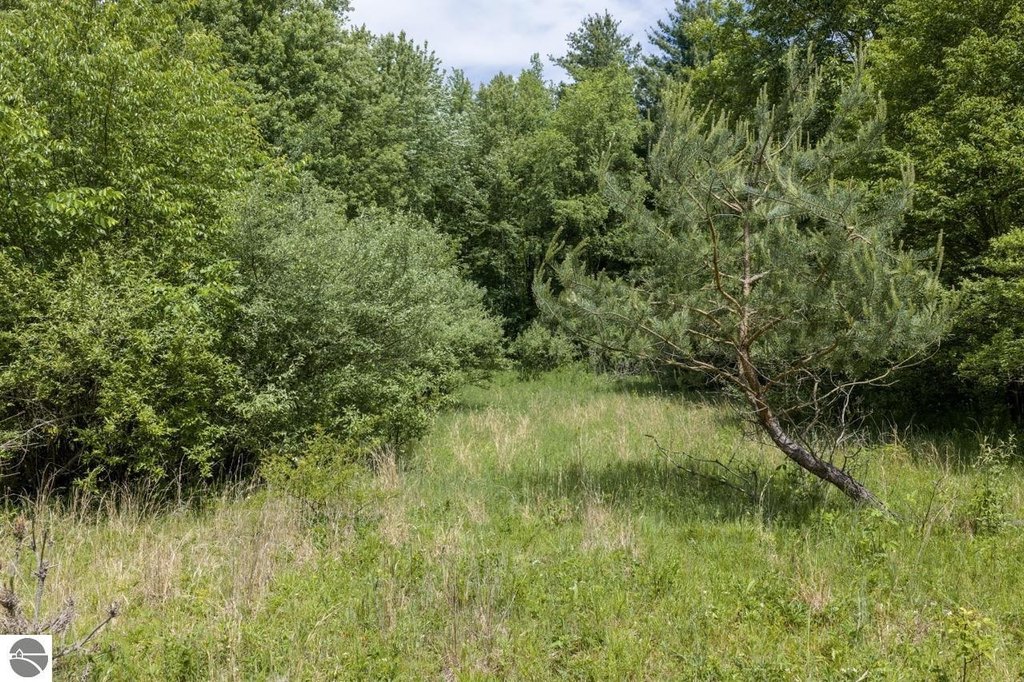 Picture 7
