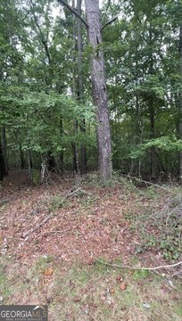 Land, Douglasville, GA