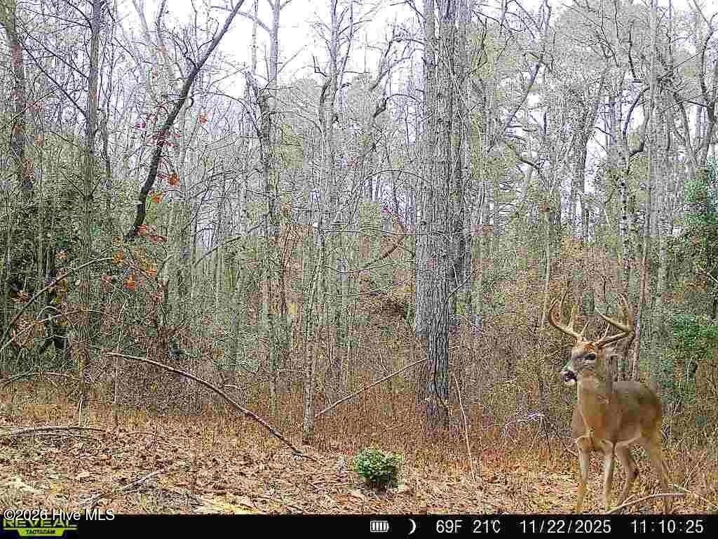 Picture 4