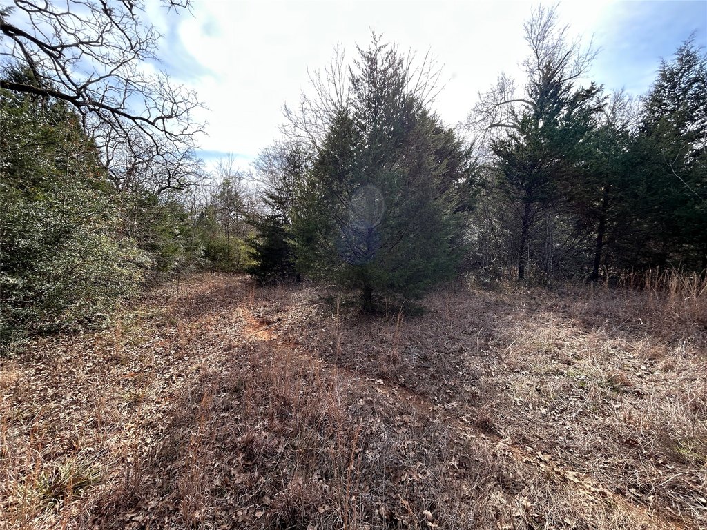 Picture 17