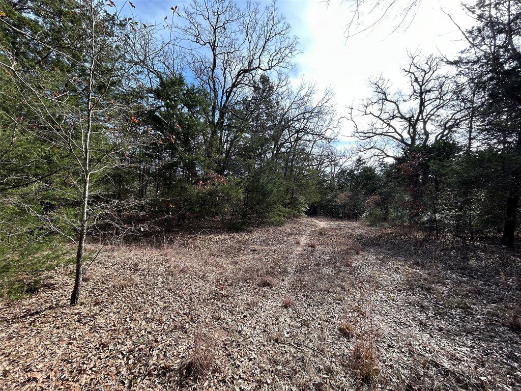 Picture 14