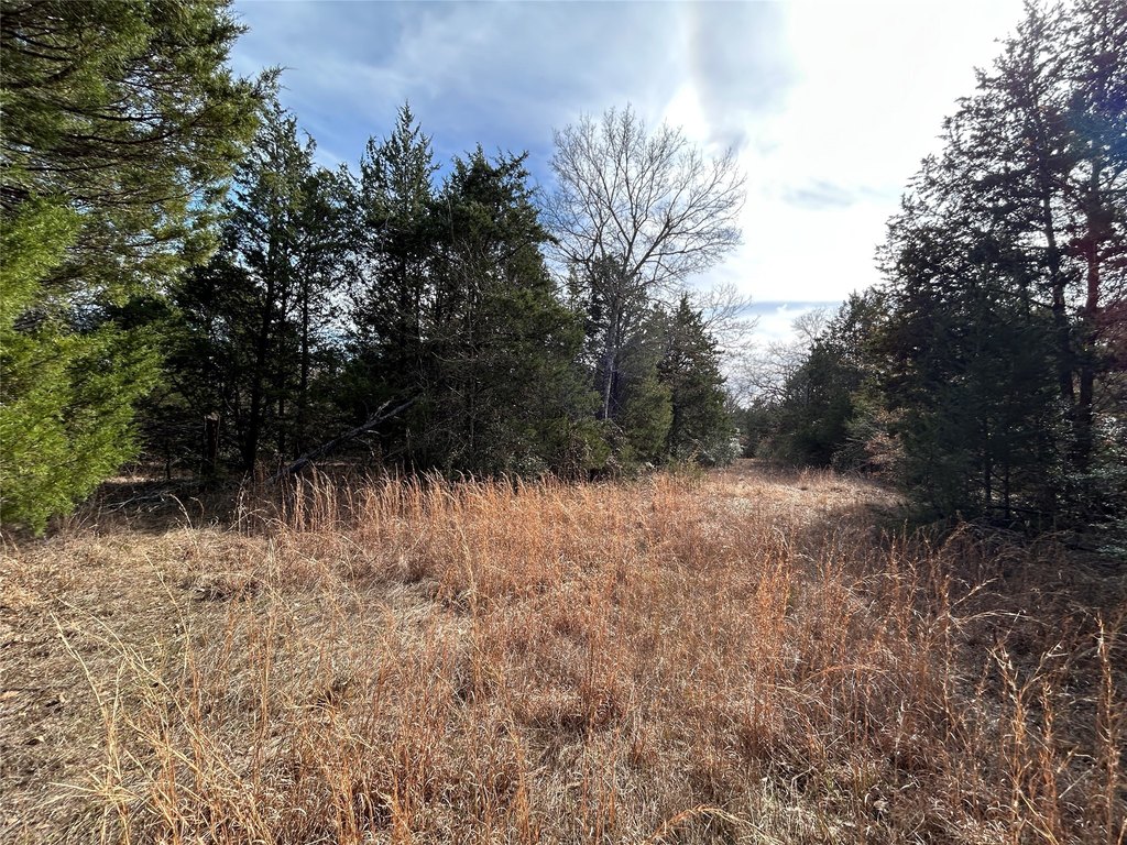 Picture 2