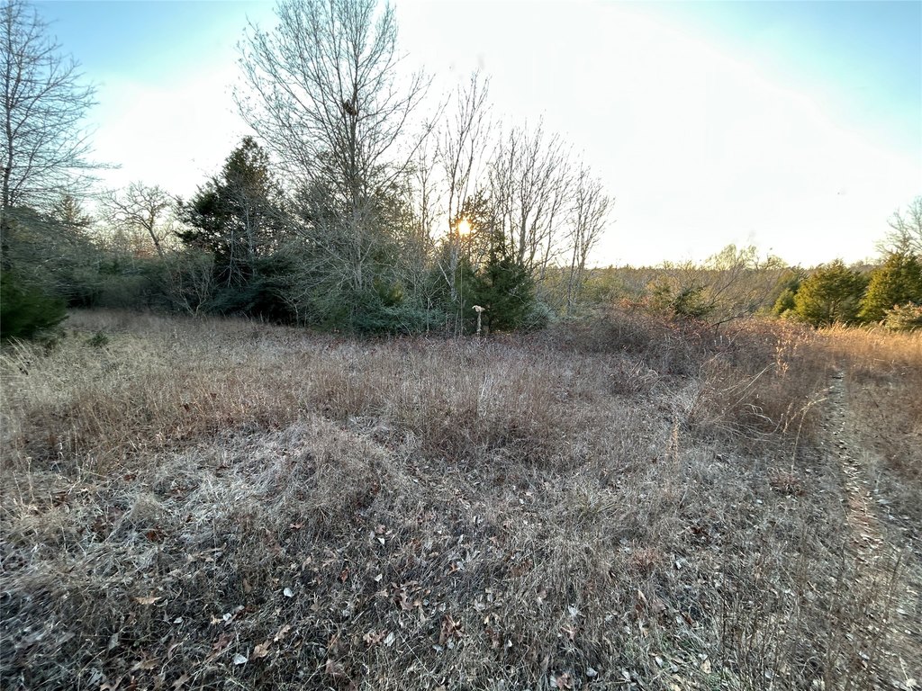 Picture 4