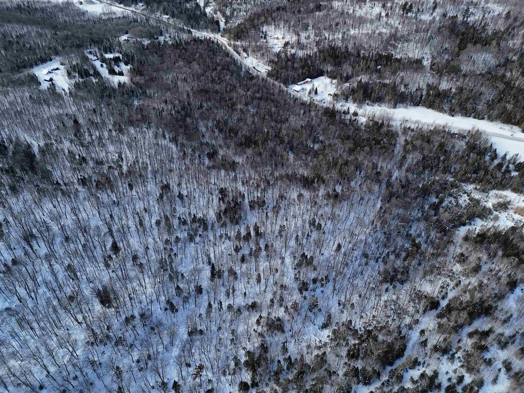 Picture 26