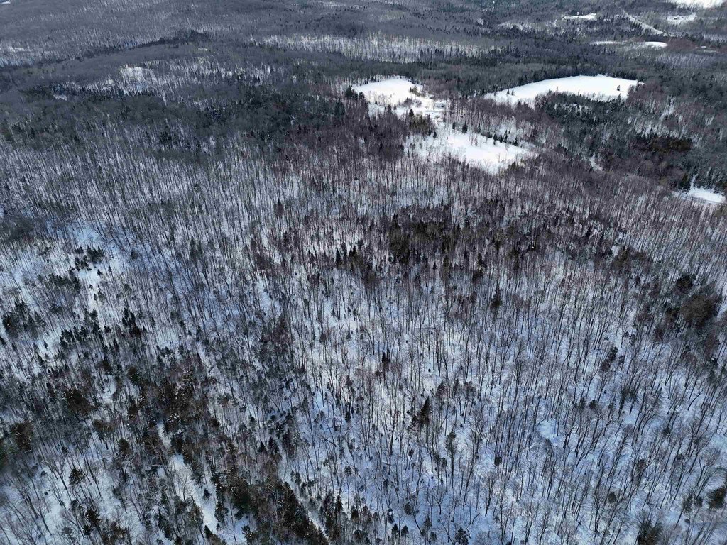 Picture 27