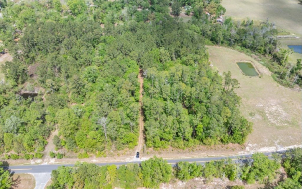 Picture 4