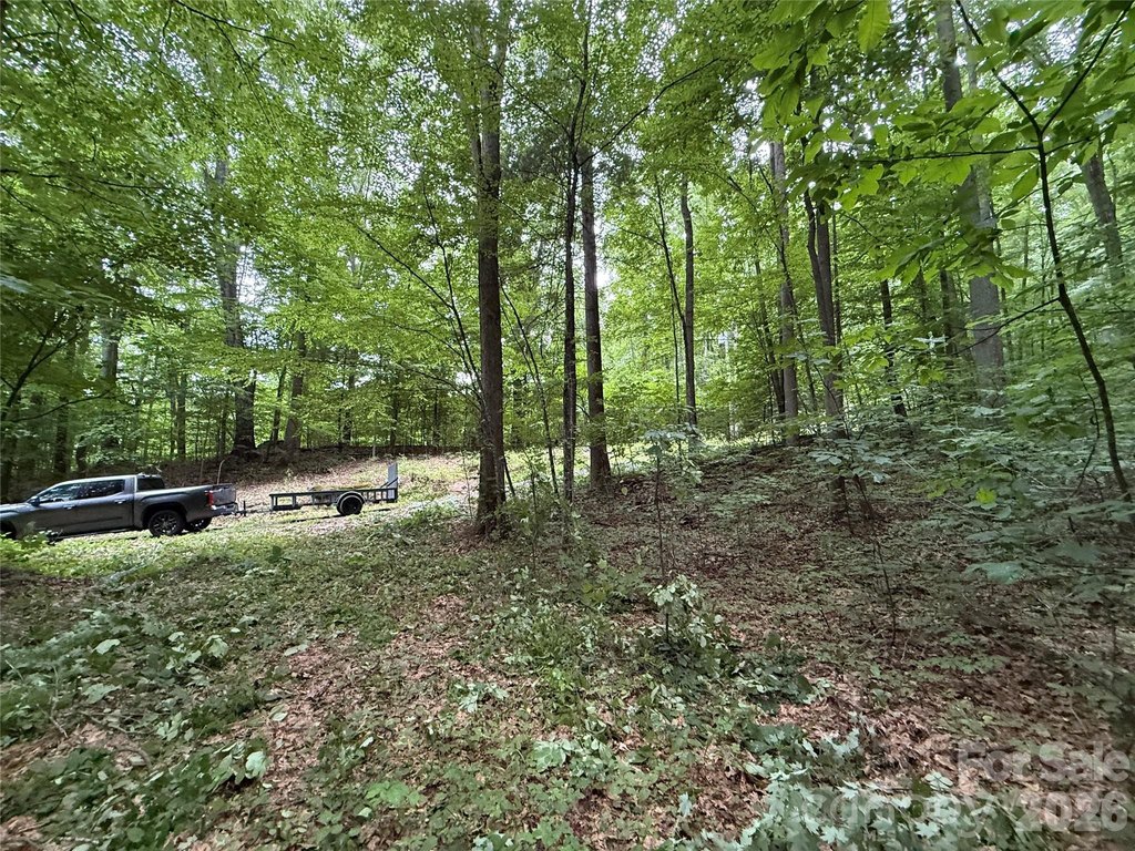 Picture 28