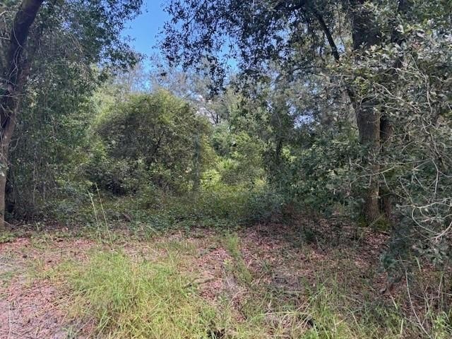 Recreational Land in Kathleen, Florida