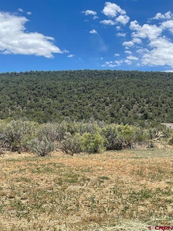 Land For Sale, Cedaredge, CO