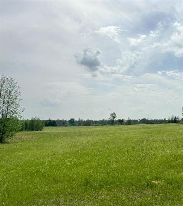 Picture 10