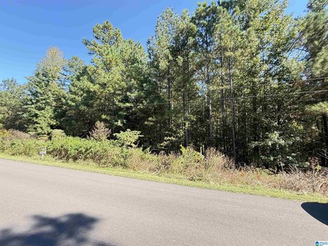 Odenville Acreage: Build Your Dream