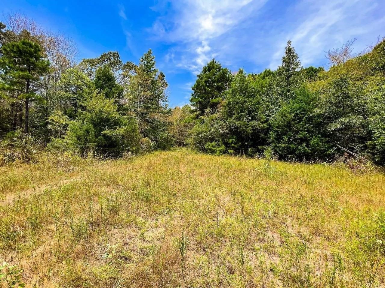 20 Acres Wooded Land Retreat