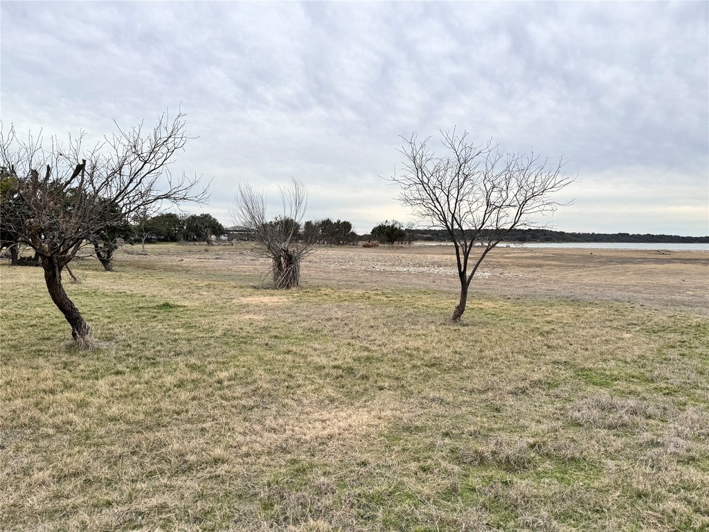 Picture 14