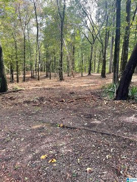LAND - BIRMINGHAM, AL