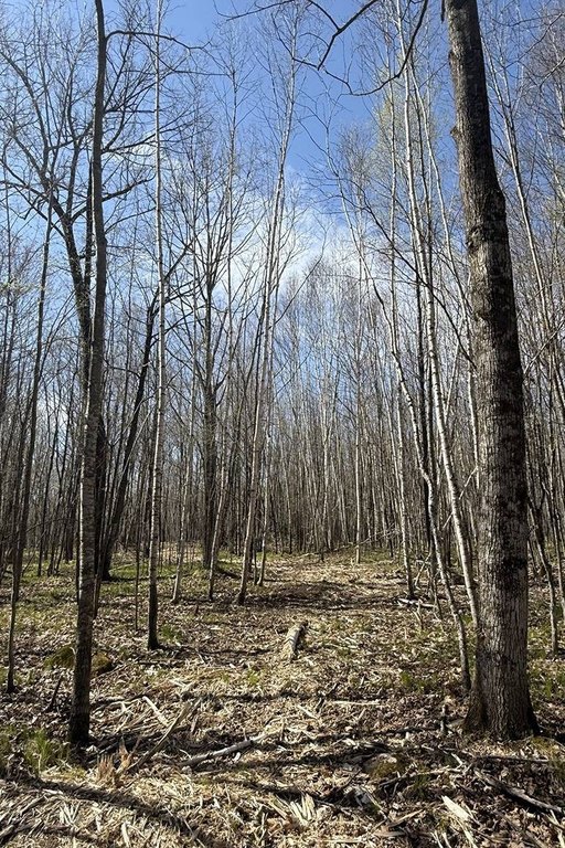 Picture 12