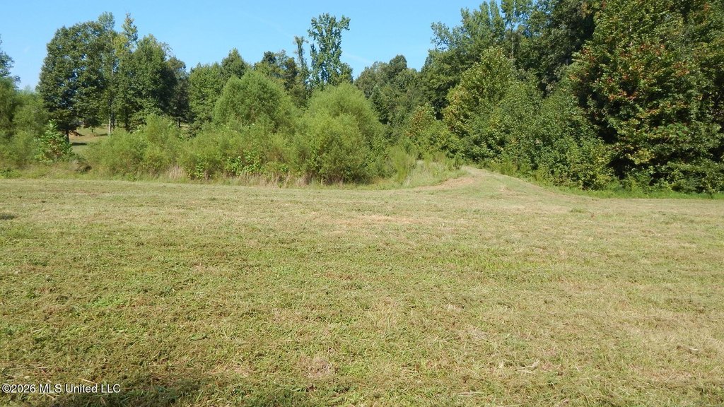 Picture 7