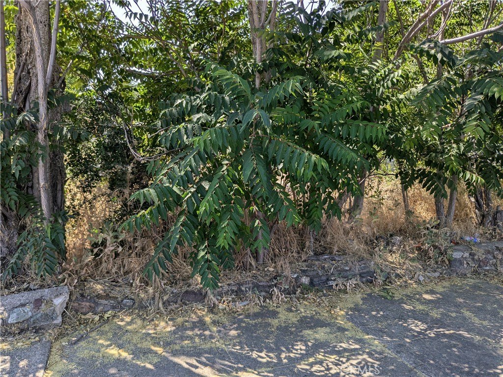 Picture 8