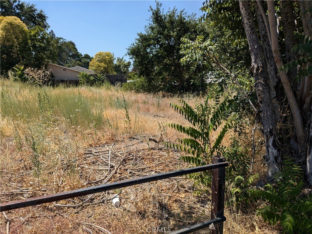 Picture 9