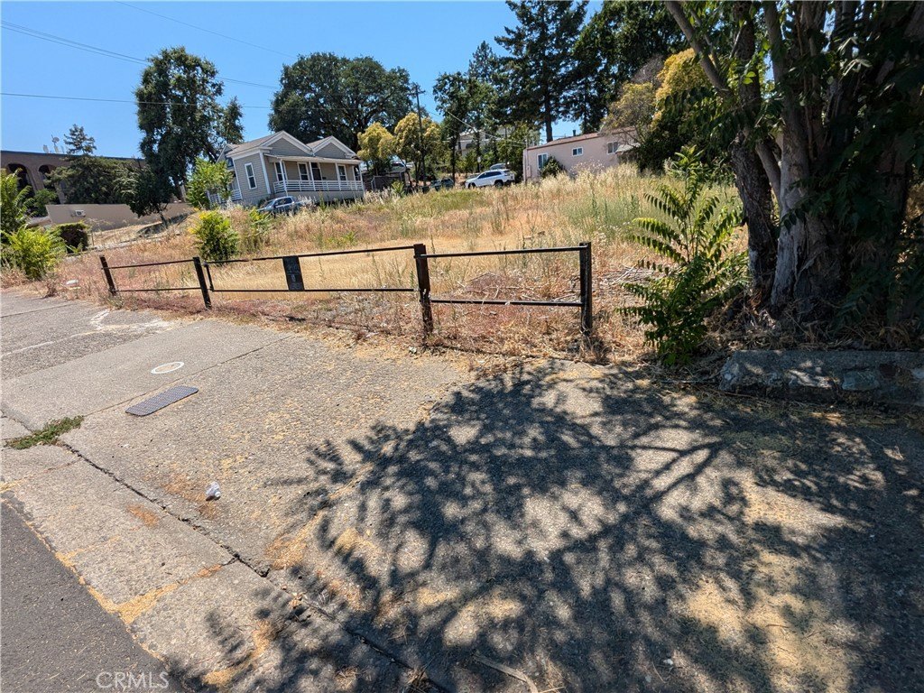 Picture 14