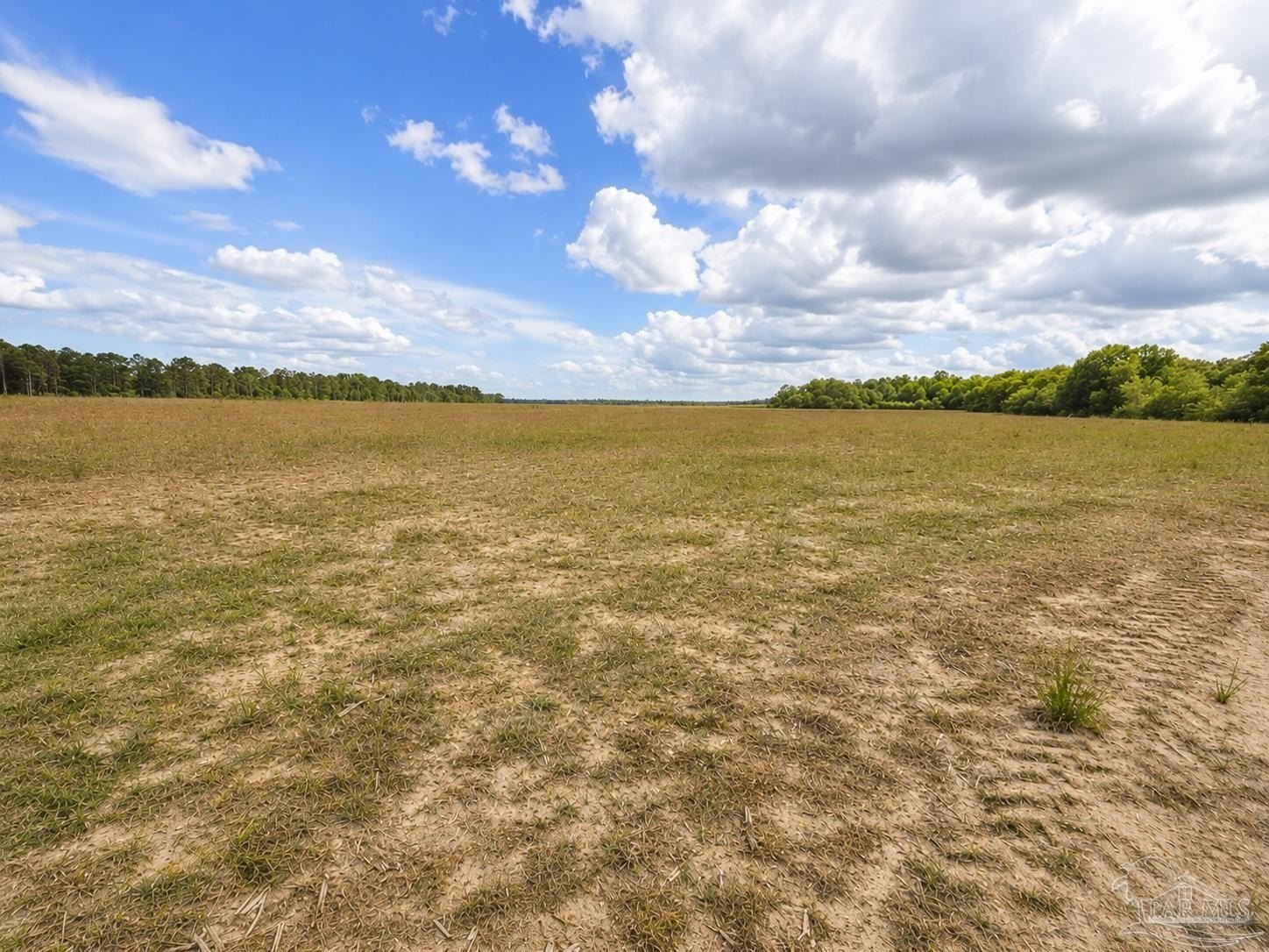Walnut Hill 5-Acre Homesite