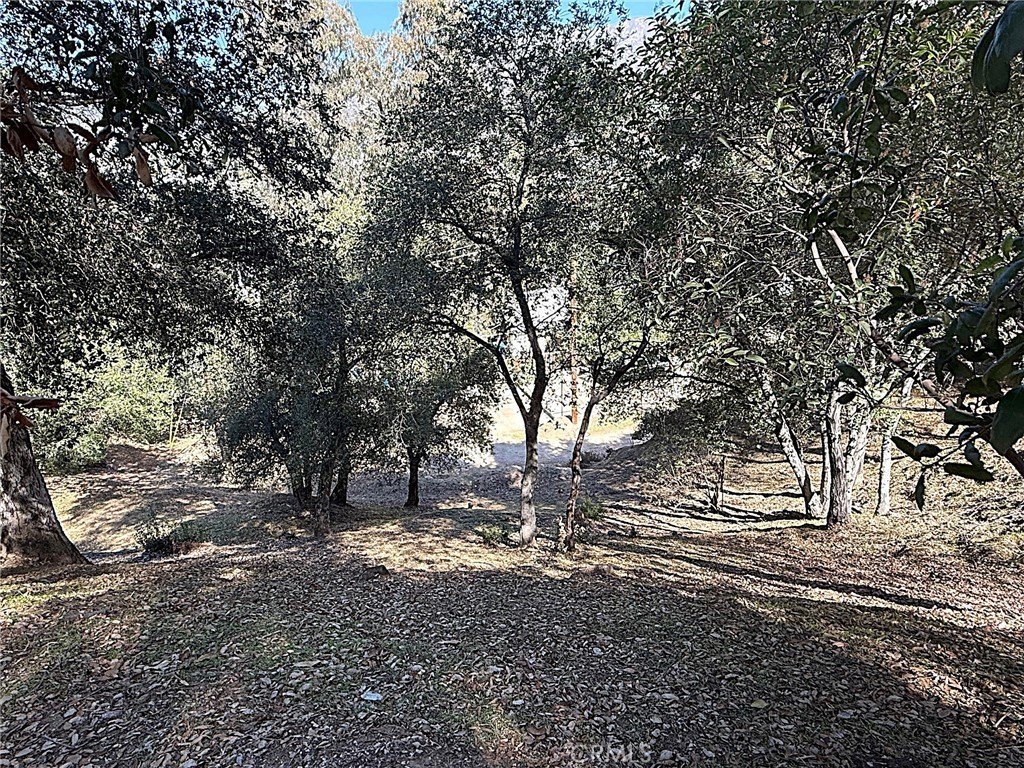 Picture 19