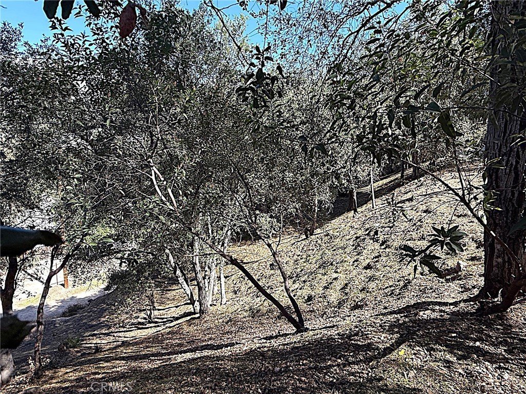 Picture 18