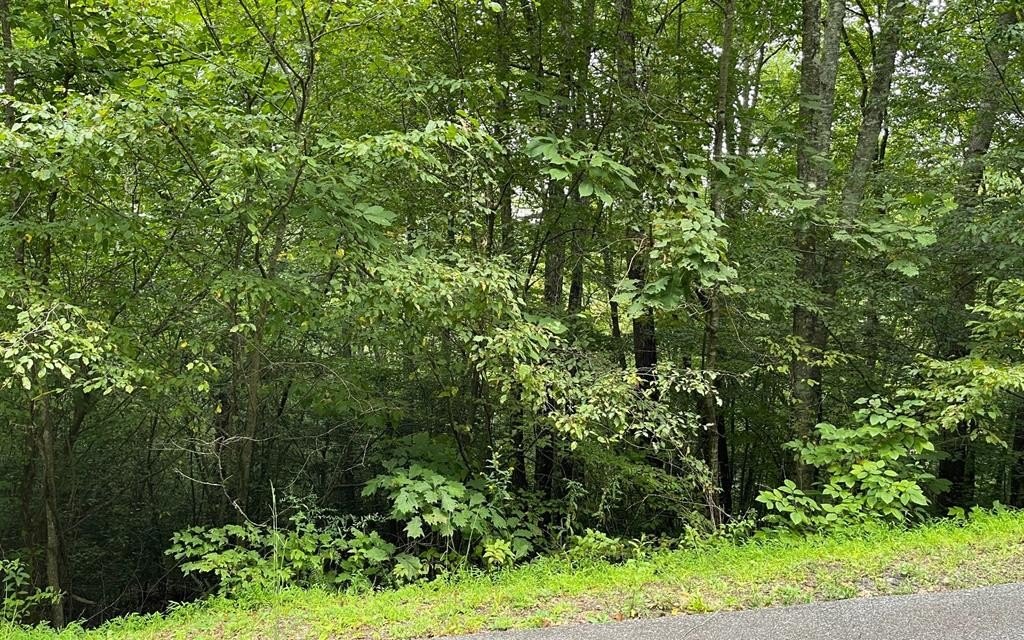 Wooded Lot in North Georgia