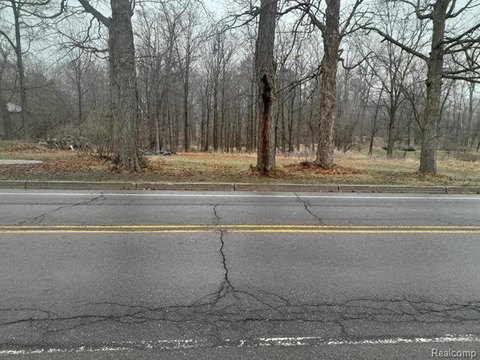 Residential Land in Williamston, MI