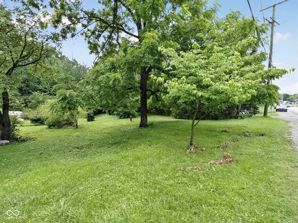 Picture 13