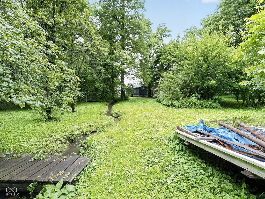 Picture 6
