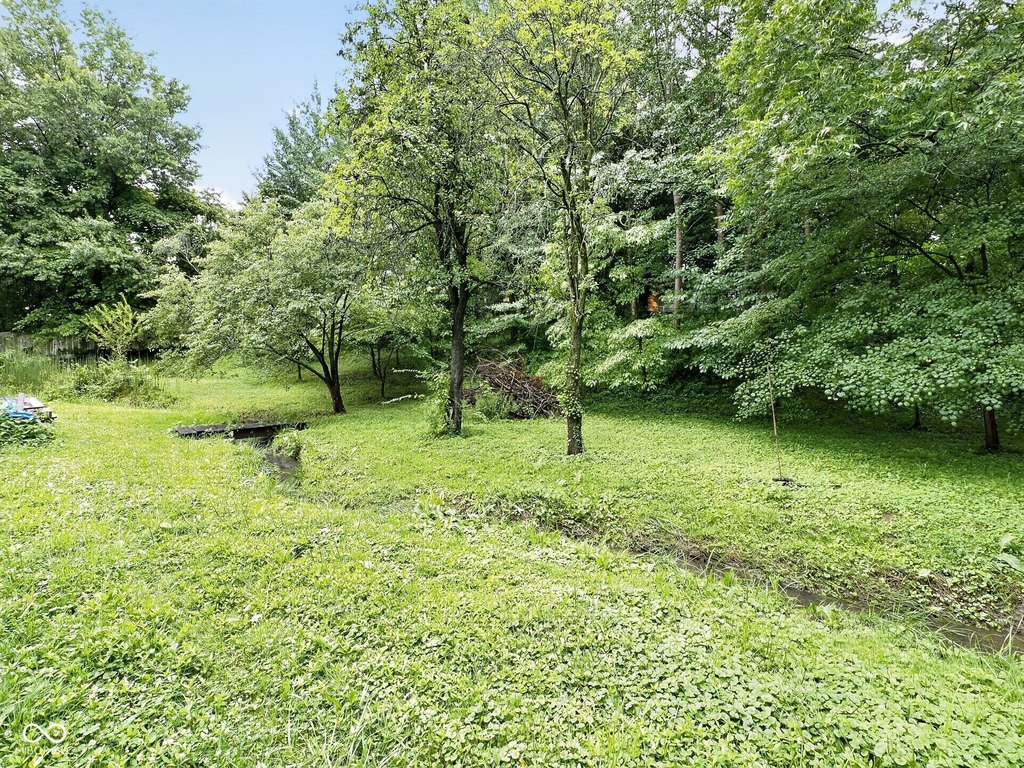 Picture 10